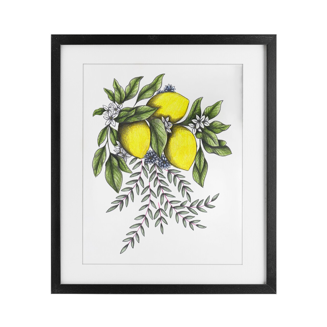 Stupell Industries Lemons & Flowers Vintage Sketch Framed Print Under Glass, design by Cecilia Battaini